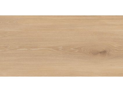 Dlažba Tubadzin Sunny wood beige mat rektifikovaná 60x120