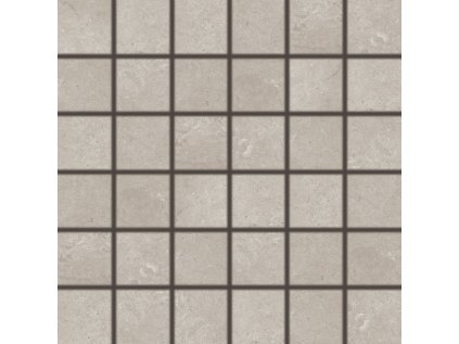 DDM06802.1