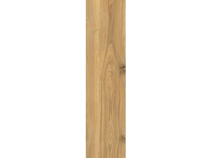 1717664781 cs 01960321