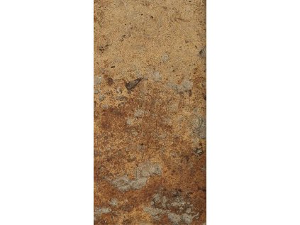 1669045409 cs cotto dorato 10x20