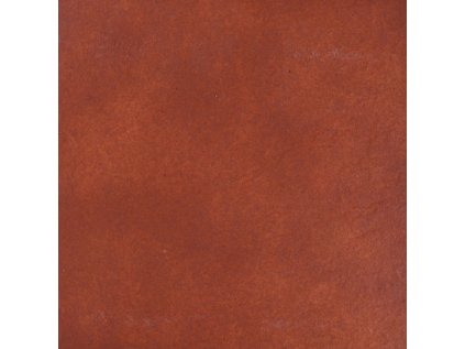 1723560015 cs albany teka