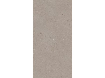 172728 46310 dlazba architeq grain mocca mat 59 8x119 8 1