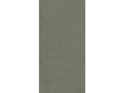 171424 45506 dlazba intero olive sat 59 8x119 8 1