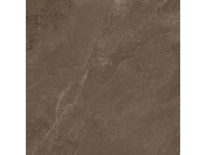 172047 46532 dlazba coffee field brown mat 119 8x119 8 1