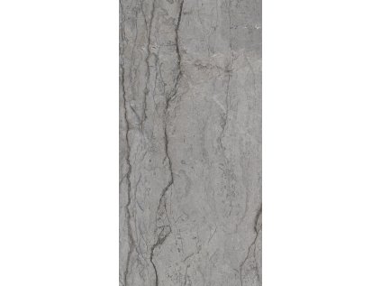 Dlažba Visioner Grey Poler Rekt. 120x60 cm