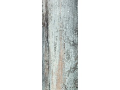 Obklad Treviso Predazzo 50x20 cm