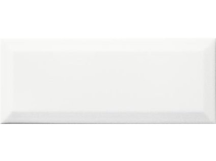 Dekor RAKO Concept Plus WARGT104 25x10 cm
