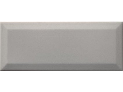 Dekor RAKO Concept Plus WARGT110 25x10 cm