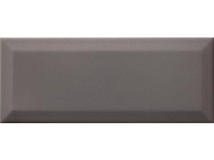Dekor RAKO Concept Plus WARGT111 25x10 cm