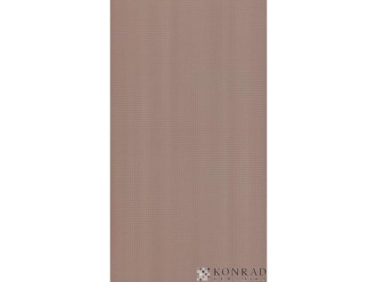 Obklad RAKO Symbol WATP3095 25x45 cm