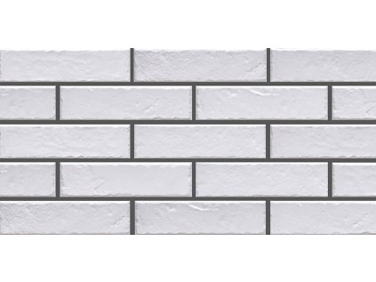 21652 21652 obklad foggia bianco 24 5x6 5 cm