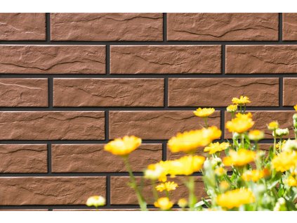 21856 21856 dlazba braz mat 30x30 cm