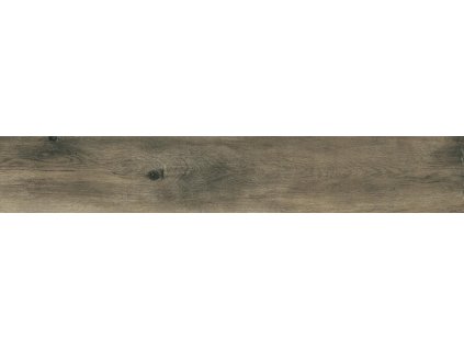 Dlažba RAKO Saloon DAKVG748 20x120 cm