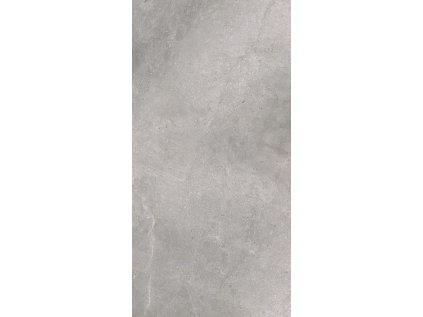 24736 24736 dlazba masterstone silver mat 59 7x119 7 cm