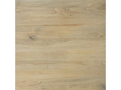 25243 dlazba ragaya cream 2 0 cm 59 7x59 7 cm