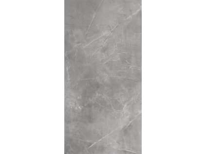 25630 25630 dlazba stonemood silver rekt mat 119 7x59 7 cm