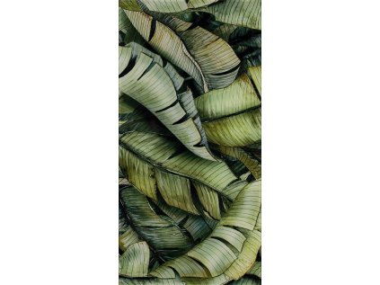 25717 25717 25717 univerzalni dekor skleneny list b 30x60 cm