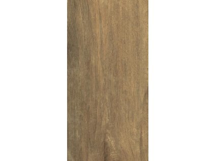 Dlažba Derby Elm 62x31 cm