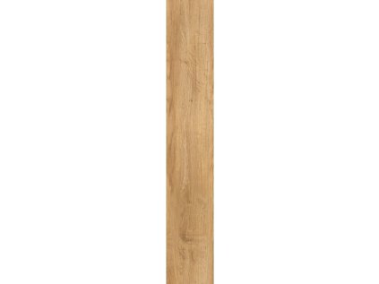 Dlažba Wood Essence šedá Mat Rekt. 120x20 cm