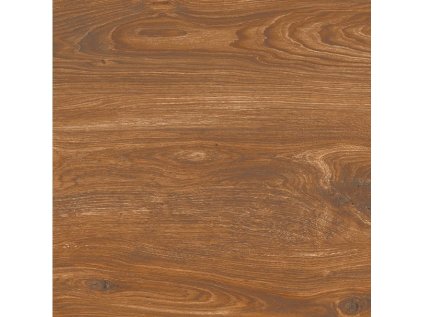 Dlažba Artwood hnědá Brown Rekt. 20x120 cm