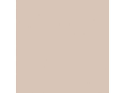 Dlažba RAKO Color Two GAA1K108 béžová mat 20x20 cm