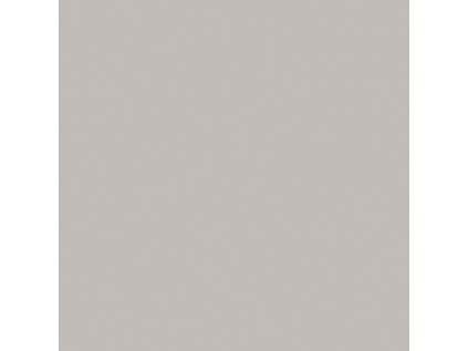 Dlažba RAKO Color Two GAA1K110 šedá mat 20x20 cm