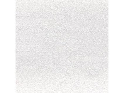 Dlažba RAKO Color Two GAF1K023 bílá r10/B 20x20 cm