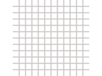 Mozaika RAKO Color Two GDM02052 bílá 2,5x2,5/30x30 cm