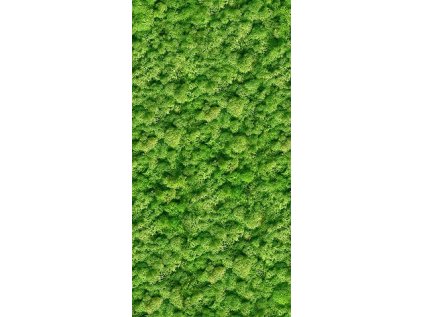 169047 44871 dekor moss glass rekt 30x60 1