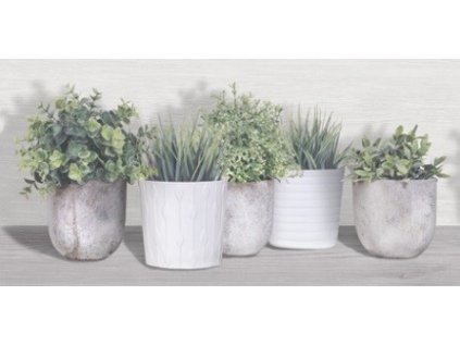 169051 44874 obklad lakewood dekor rekt 30x60 1