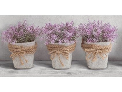 169053 44883 obklad max dekor rekt 30x60 1