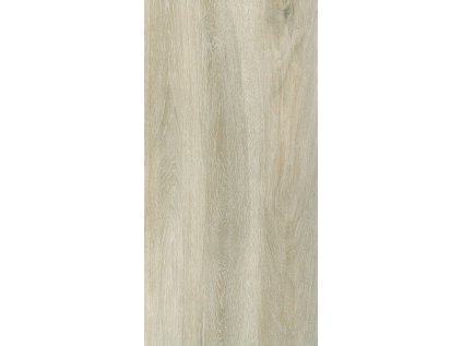 141873 21706 dlazba forest birch 30x60 1