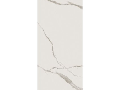 164555 38834 dlazba statuario poler rekt 120x60 1