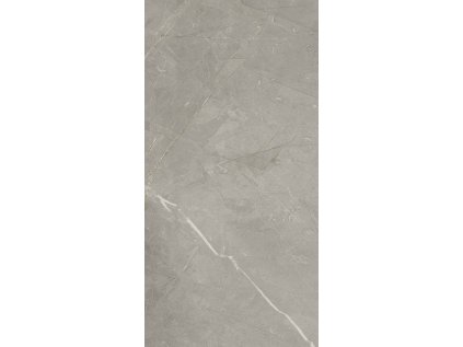 164553 38331 dlazba pure grey mat 60x30 1