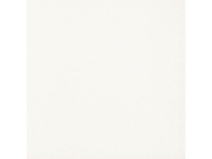 102599 2094 dlazba inwest bialy gres glaz mat 19 8x19 8 1