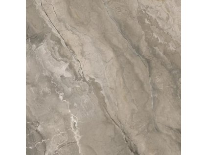 55639 55639 55639 168145 43791 dlazba generous taupe polpoler 59 8x59 8 1