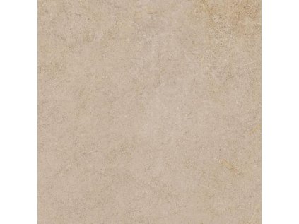 55759 55759 55759 169345 44709 dlazba ingastone beige 2 0 cm 59 5x59 5 r11 1