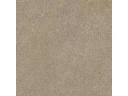 55762 55762 55762 169346 44707 dlazba ingastone brown 2 0 cm 59 5x59 5 r11 1