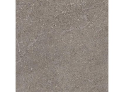 55765 55765 55765 169347 44705 dlazba ingastone grey 2 0 cm 59 5x59 5 r11 1