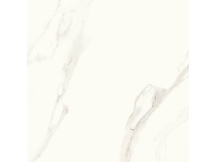 56005 56005 56005 161830 34514 dlazba calacatta 2019 mat 119 8x119 8 1