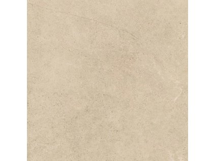 56251 56251 56251 167712 43867 dlazba authority beige mat 89 8x89 8 1