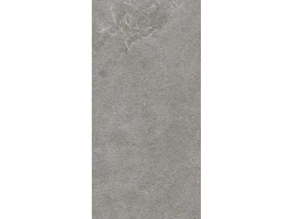 56335 56335 56335 167727 45266 dlazba authority grey 2 0 cm 59 5x119 5 r11 1