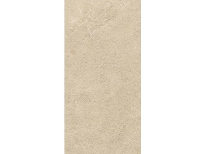 56344 56344 56344 168140 45263 dlazba authority beige 2 0 cm 59 5x119 5 r11 1