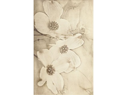 143951 21028 dekor tuti beige flower 25x40 1