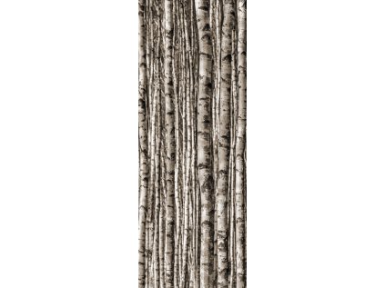 Dekor skleněný Tubadzin Birch 4ks lesk rektifikovaný 90x240