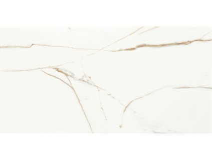 Obklad Arté Floris white lesk 31x61