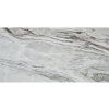 1733147732 cs crystal river