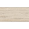 Dlažba RAKO Alba DARV1731 60x120 cm