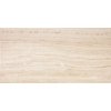 Dlažba RAKO Alba DAPSE731 30x60 cm
