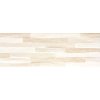 Obklad RAKO Garda WARVE566 20x60 cm